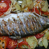 Rácponty